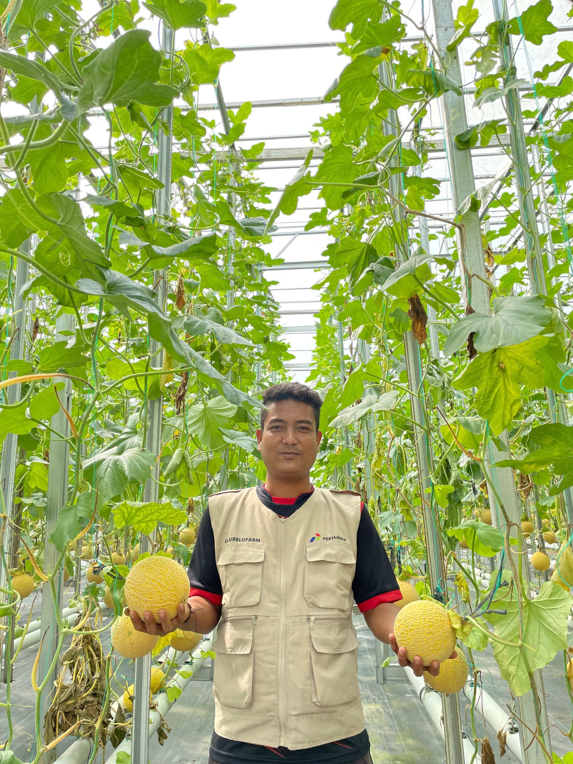 Peran Masyarakat Ulubelu pada Ekosistem Hidrogen Hijau Pertamina