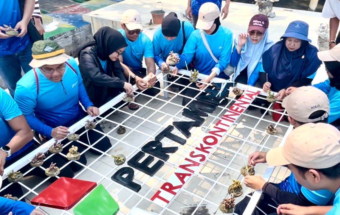 Pulihkan Ekosistem Maritim, Pertamina Trans Kontinental Transplantasi 300 Fragmen Karang dan Konservasi Biota Laut di Pulau Pramuka
